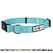 Pawtitas Reflective Dog Collar Adjustable Dog Collars for Small Dogs Puppy Collar Small Dog Collar Teal Dog Collar