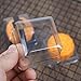 50 Set Gold bottom Clear cover plastic mini cake box,muffin box,moon cake box,mung bean cake snow Mei Niang box