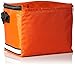 Cincinnati Bengals Impact 6 Pack Cooler