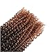 Refined Hair 12inch 24Strands 6packs/lot Ombre Malibob Jerry Curly Twist Hair Synthetic Crochet Braids Freetress Braiding Hair Extensions (T1B/30)