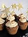 PARTYMASTER Wedding Party Decorations Glitter Gold Star Design Lot of 48PCS Bridal Shower Food Toothpicks Cupcake Muffin Toppers