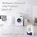 Pohl+Schmitt Compact Dehumidifier, 17oz Water Tank, Ultra Quiet - Small Portable Design for Homes, Basements, Bathrooms and Bedrooms - Removes Air Moisture to Prevent Dust Mites, Mold & Mildew