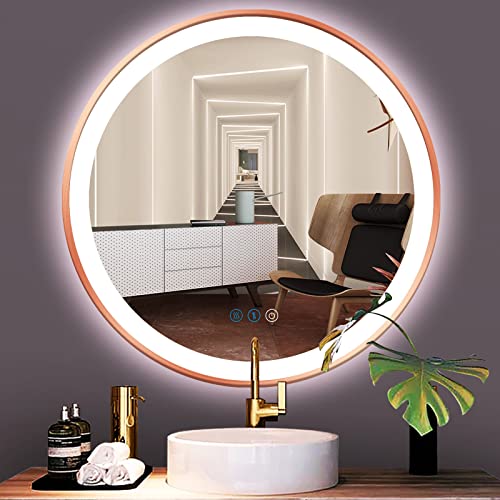 ARUMMA Rose Gold Bathroom LED Round Mirror 20 Inch Rose Golden Frame ...