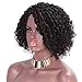AISI QUEENS Kinky Curly Wig for Black Women Black Mixed Red Color Side Part Short Afro Synthetic Heat Resistant Fiber Daily Part Wigs(1b/bug)