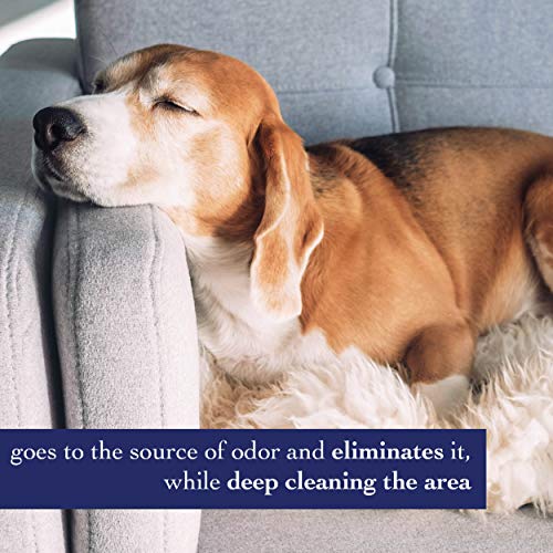 3 SynergyLabs+Richards+Organics+Upholstery+Deodorizer