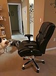 Review Image by K9 Review Squad K9 Review Squad