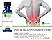 Bestmade Renecured Organic Kidney and Bladder Supplement Natural Urinary Tract and Renal Support
