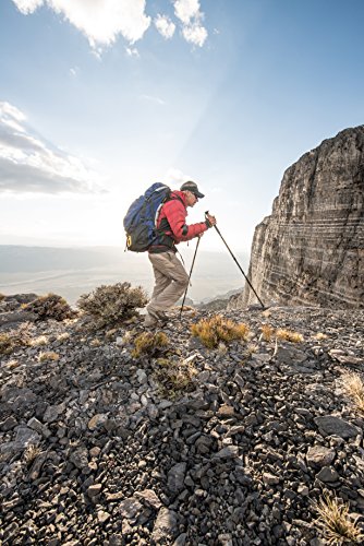 Mountainsmith Pinnacle Single Trekking Poles, Evergreen - Thumbnail 3