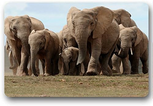 Manada Elephants Doormat,Non-Slip Neoprene Rubber Mat for Bath/Kitchen/Indoor/Office (23.6"x15.7") by TEYAYA