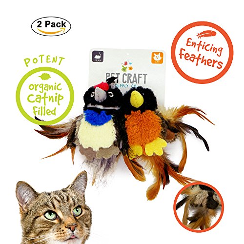 Pet Craft Supply Co. Batty & & Quirky Quail Funny Cuddling Chasing Irresistible Stimulating Soft Plush Boredom Relief Interactive Catnip Filled Cat Toy with Realistic Feathers (2 Pack)