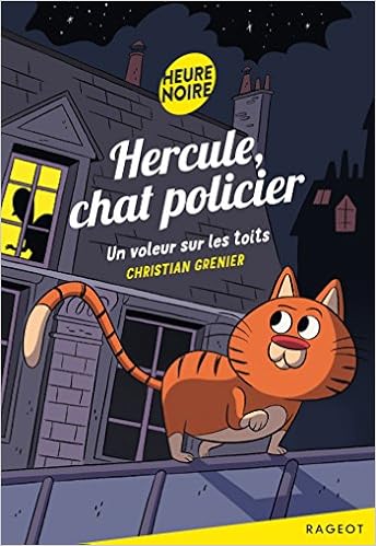 un-voleur-sur-les-toits