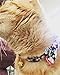 KOOLTAIL Cat Collars with Bell 2 Pack Cute Bowtie Puppy Collars for Small Dogs
