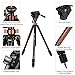 Fluid Head Tripod, Cayer AT2371 Pro Video Camera Tripod Legs With K5 Fluid Video Head, 75mm Built-In Half Ball Leveling Base, Max Loading 17.6 lb, 70.5 Inch Fluid Video Kit