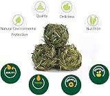 CAMITER 6pcs Timothy Grass Rabbit Chew Ball Small Animal Toys view 3