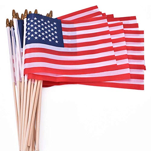 PETDUDE Small American Flags 5x8 Inch/Small US Flags/Mini American Flag on Stick/American Hand Held Stick Flags Spear Top (25 Pack)