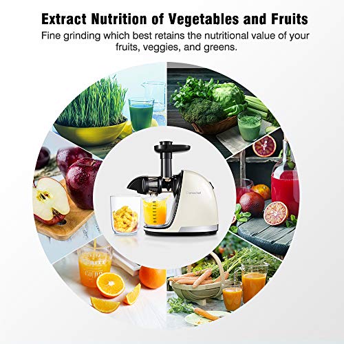 Slow Juicer,AMZCHEF Slow Masticating Juicer Extractor Easy to Clean, Cold Press Juicer Machines