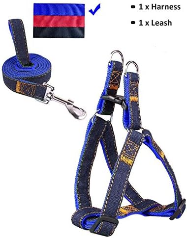 IAITE No-Pull Dog Leash Harness Adjustable and Heavy Duty Denim Dog Training Walking Leash Collar for Large/Medium/Small Dog (XS)