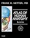 Atlas of Human Anatomy