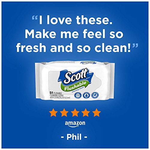 Scott Flushable Wipes