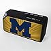 NCAA Michigan Wolverines BX-100 Bluetooth Speaker, Black