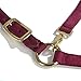 Intrepid International Nylon Miniature Horse Halter, Burgundy, Large