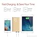 DULLA M50000 Portable Power Bank 12000mAh External Battery Charger, Ultra Slim Design with 2 USB Ports for iPhone, iPad, Galaxy and More (gold)