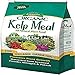Espoma KM4 Organic Traditions Kelp Meal 1-0-2 - 4 lb Bag primary