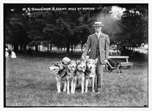 Historic Photographs, LLC Photo: Mineola Dog Show,M.R. Guggenheil,Eskimo Dogs,1908,Nassau County, New York,NY
