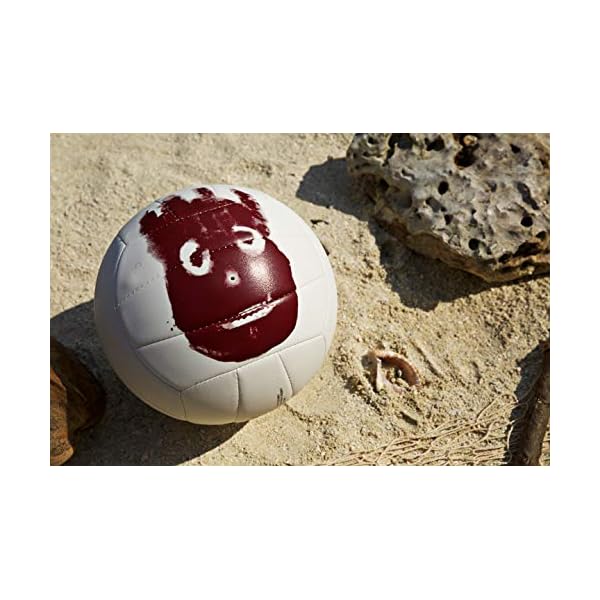 WILSON Outdoor Recreational Volleyball Official Size » La Decade