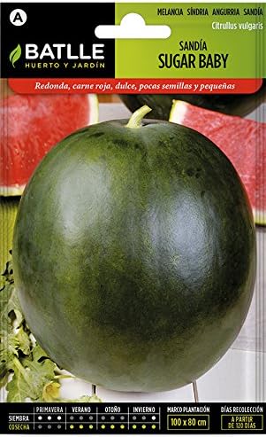 Semillas Hortícolas - Sandía Sugar Baby - Batlle: Amazon.es: Jardín