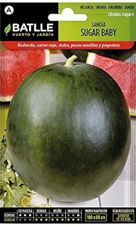 Batlle Gemüsesamen - Wassermelone Sugar baby (160 Samen)