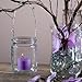 Eastland® Hanging Votive Holder Glass / Charming Metal Handle Adorned with Gems (Set of 12)