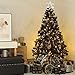 Sea Team Shatterproof Clear Plastic Christmas Ball Ornaments Decorative Xmas Balls Baubles Set with Stuffed Delicate Decorations (70mm/2.76 inch 24-Pack, Black)