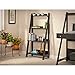 Bush Furniture Alamosa Ladder Bookshelf, Classic Black
