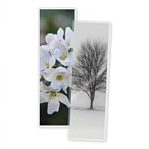 5 Mil Laminating Sheets Oregon Lamination Hot Pouches [100 Pack] - 10 ...