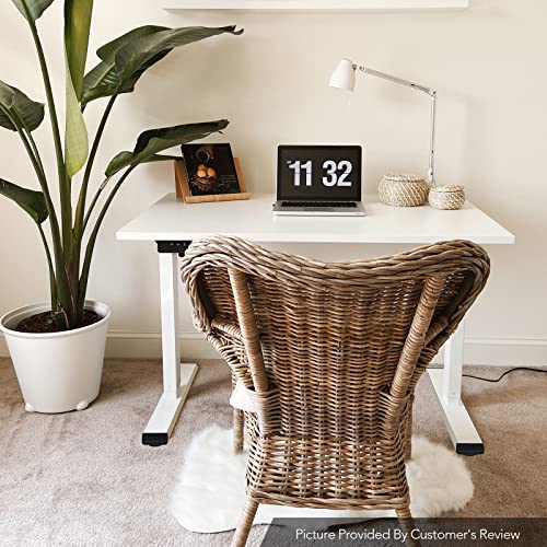FLEXISPOT EN1 Electric Small Standing Desk 40 Inches Adjustable Height