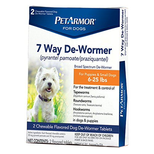 Best Dog Wormers Buying Guide GistGear