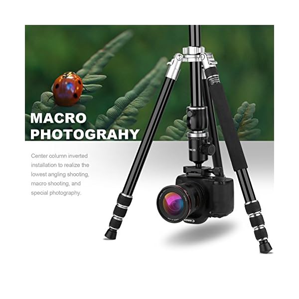 Beschoi M284 160cm Kamerastativ aus Alu leichtes Stativ Fotostativ mit Einbeinstativ Kompatibel mit Canon/Nikon/Olympus… – Bild 6