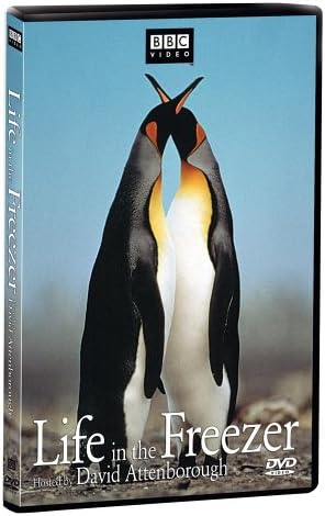 Amazon.com: The Life of Birds : David Attenborough: Movies & TV