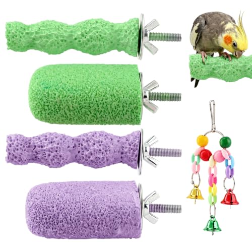 JRAVPXEQ Bird Beak Grinding Stones