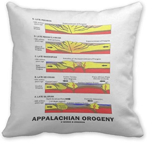 Nial Neil Throw Pillow Case Covers Geology Cushion Pillow Case