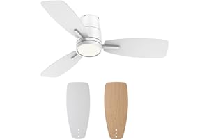 TALOYA 42inch Ceiling Fans with Lights and Remote Control, Quiet DC Motor, Double-Faced Blades, Modern Low Profile Ceiling Fan for Bedroom, Living Room, Dining Room, Office