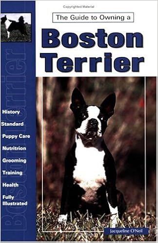 Guide to Owning a Boston Terrier (Re-335)  �y�[�p�[�o�b�N  - 1998/3/1