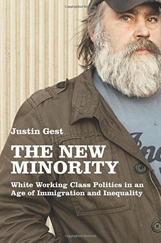 The New Minority: White Working Class Politics in an Age of Immigration and Inequality