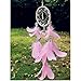 Dremisland Dreamcatcher Pink Dream Catchers Handmade Dream Catchers Wall Hanging Net with Feathers Room Decoration Ornament (Pink)