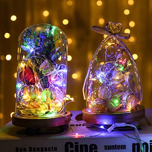 String Lights, Waterproof LED String Lights,2 Pack 20ft 60 LED Festival Decorations Crafting Battery Powered Copper Wire Starry Fairy Lights (Multicolor)