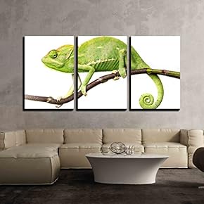 3 Piece Canvas Wall Art - Chameleon - Chamaeleo calyptratus on a Branch - Modern Home Art Stretched and Framed Ready to Hang - 16"x24"x3 Panels