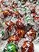 Lindt Lindor Chocolate Truffles Assorted Holiday Colors 100 Truffles Box (Milk Chocolate and Peppermint Flavors)