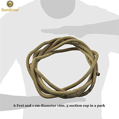 image for SunGrow 6 feet Animal Vine --- Twistable, Bendable Branch - Creates Na