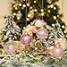 Sea Team Shatterproof Clear Plastic Christmas Ball Ornaments Decorative Xmas Balls Baubles Set with Stuffed Delicate Decorations (70mm/2.76 inch 24-Pack, Pink)